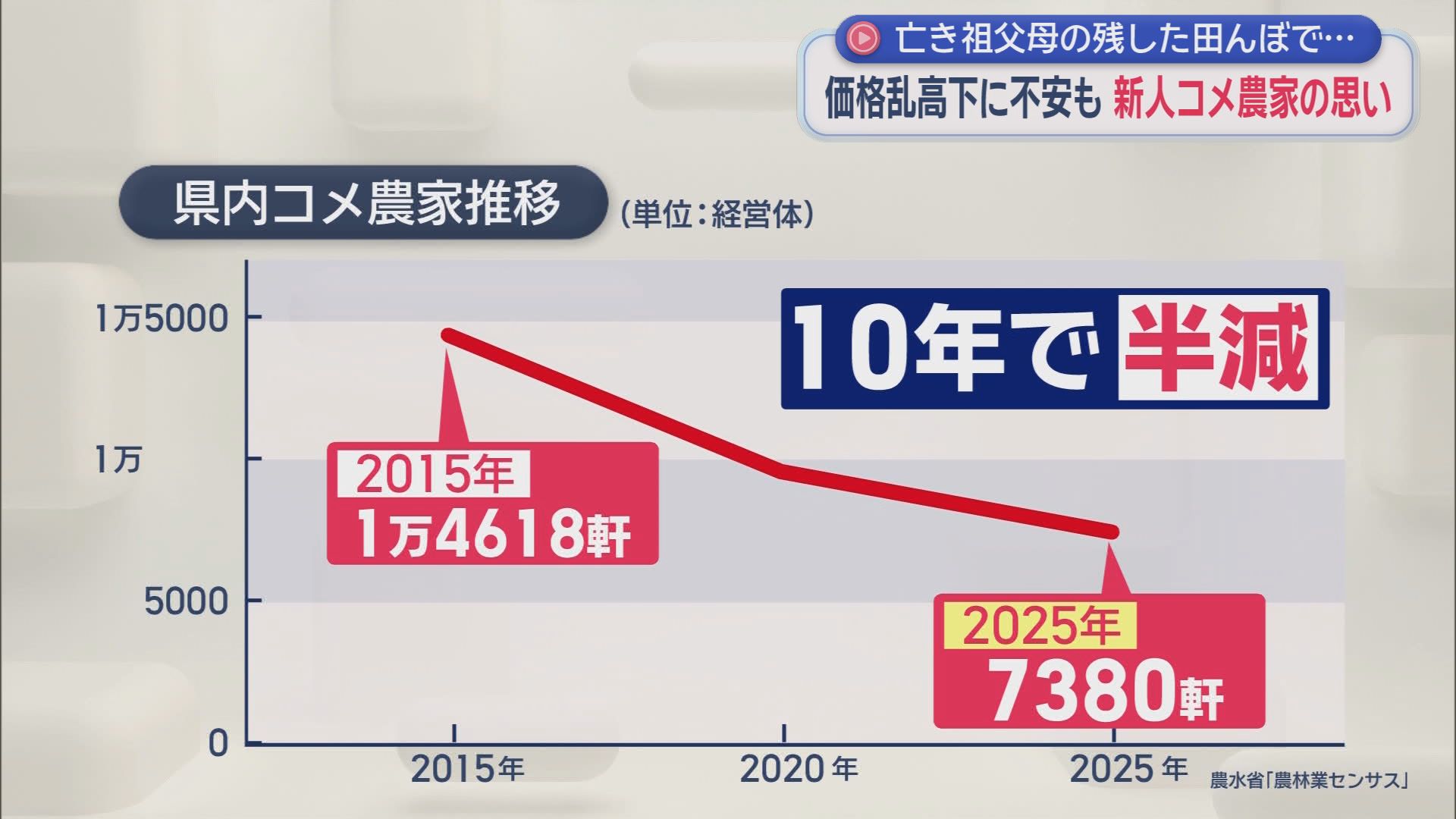 10年で半減…廃業続くコメ農家　それでも継いだ29歳『祖父母の味を守りたい』　富士山の湧水でコメ作りを始めた若者の思い　静岡・富士宮市