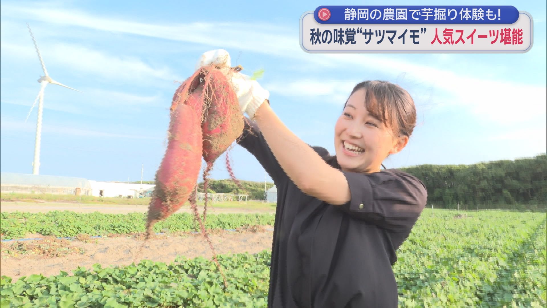 「名字が堀なので気合入ってます！」堀アナがサツマイモ掘りに挑戦　掛川の農園で秋の味覚を満喫