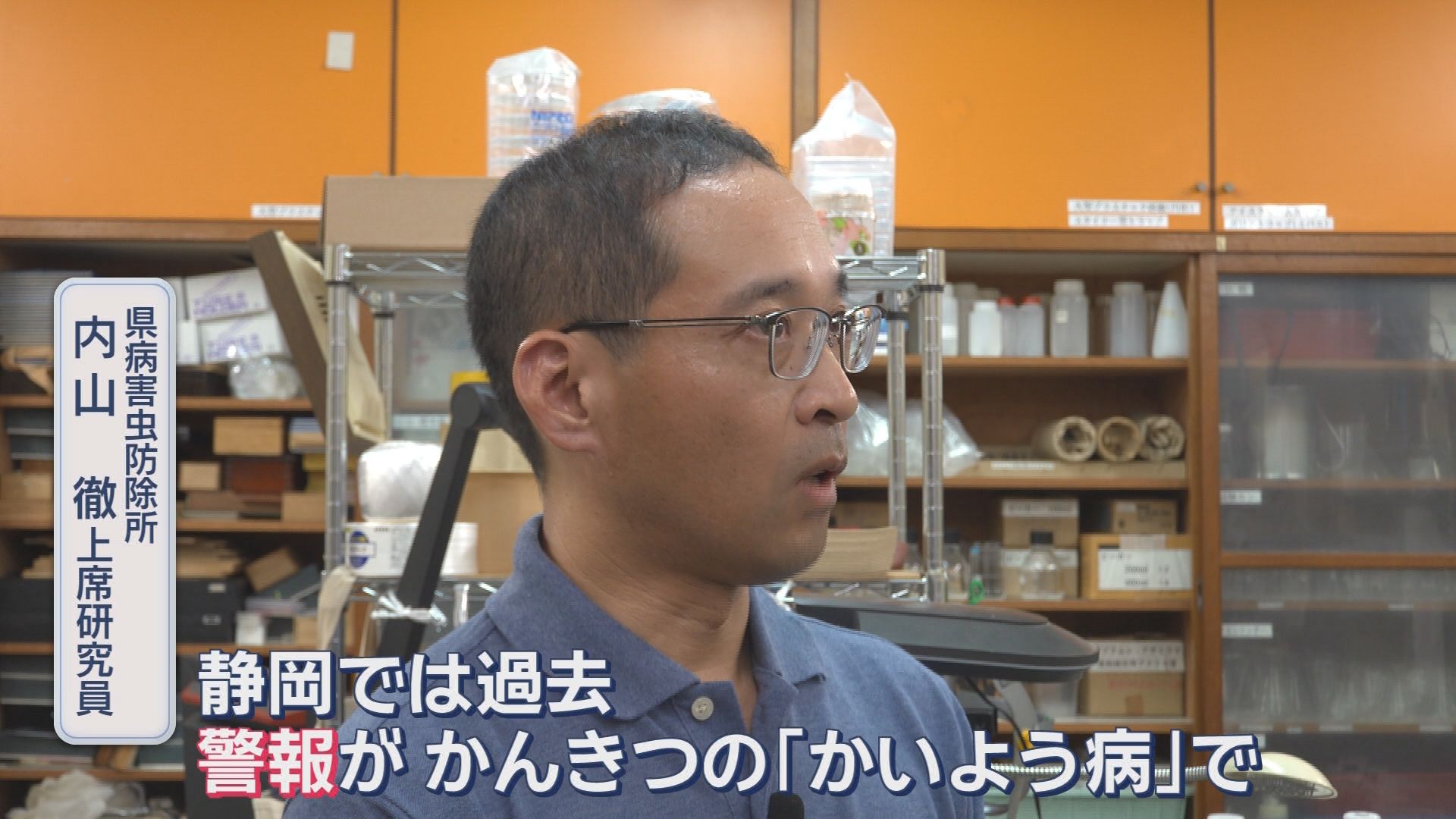 台風不足が原因!? カメムシ爆増の意外な理由　静岡県で28年ぶり“警報級”の恐れ　柿農家は“悲鳴”「売れなくなる」　