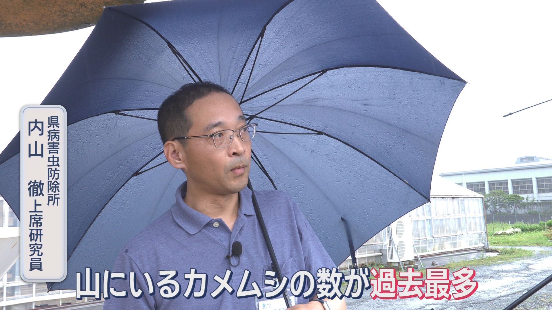 台風不足が原因!? カメムシ爆増の意外な理由　静岡県で28年ぶり“警報級”の恐れ　柿農家は“悲鳴”「売れなくなる」　