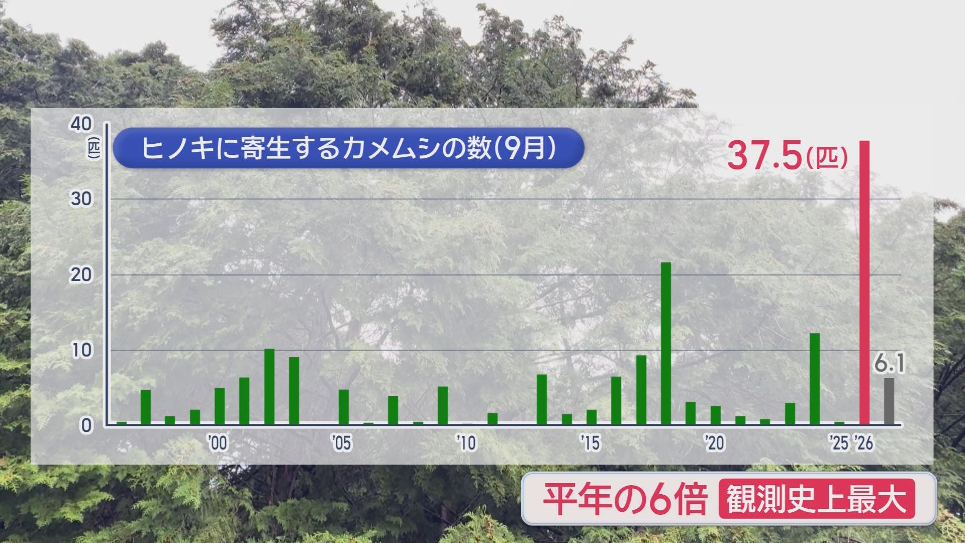 台風不足が原因!? カメムシ爆増の意外な理由　静岡県で28年ぶり“警報級”の恐れ　柿農家は“悲鳴”「売れなくなる」　