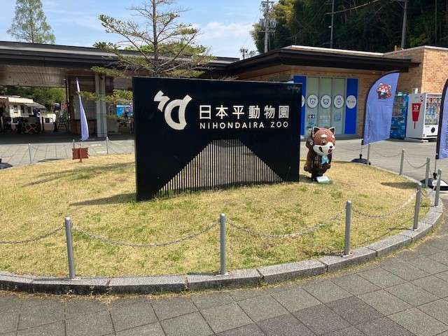 日本平動物園は、レッサーパンダに関して重要な役割を担っている