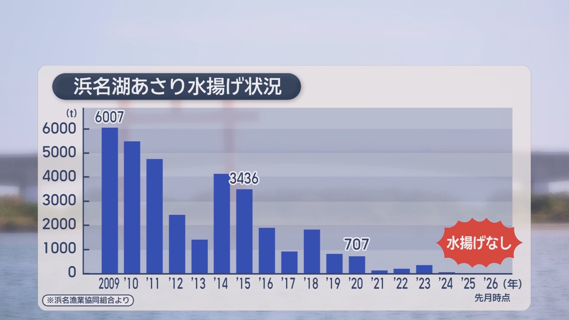 アサリの天敵が救世主に!?　浜名湖の“厄介者”クロダイを新名物に…アナもびっくり「こんなにうまみが強いの」　「浜名湖鯛」としてブランド化も