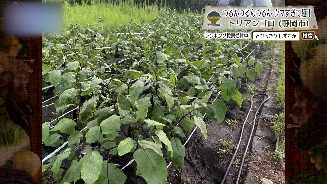 自ら栽培しているからこそ素材の良さが引き出されている