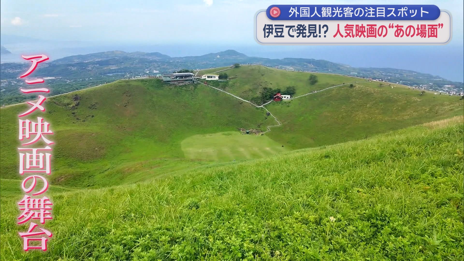 まるで『君の名は。』『千と千尋』の世界…中国人観光客が殺到　伊豆の“聖地”に異変　SNSで話題『抹茶の山』には長蛇の列　