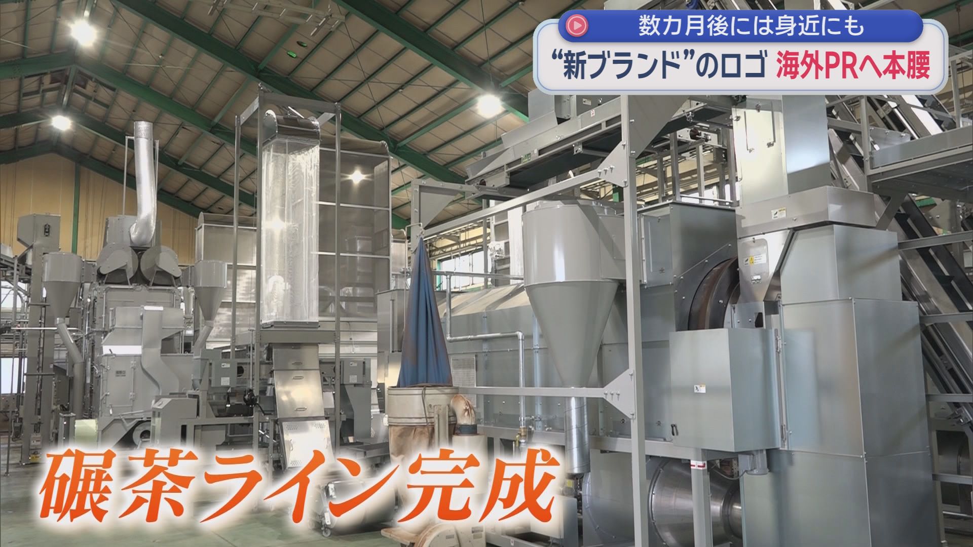 県庁に“お茶振興課”　静岡茶復活へ…世界ブランド化の最前線を追った　佐藤可士和氏と挑む『JAPAN TEA SHIZUOKA』