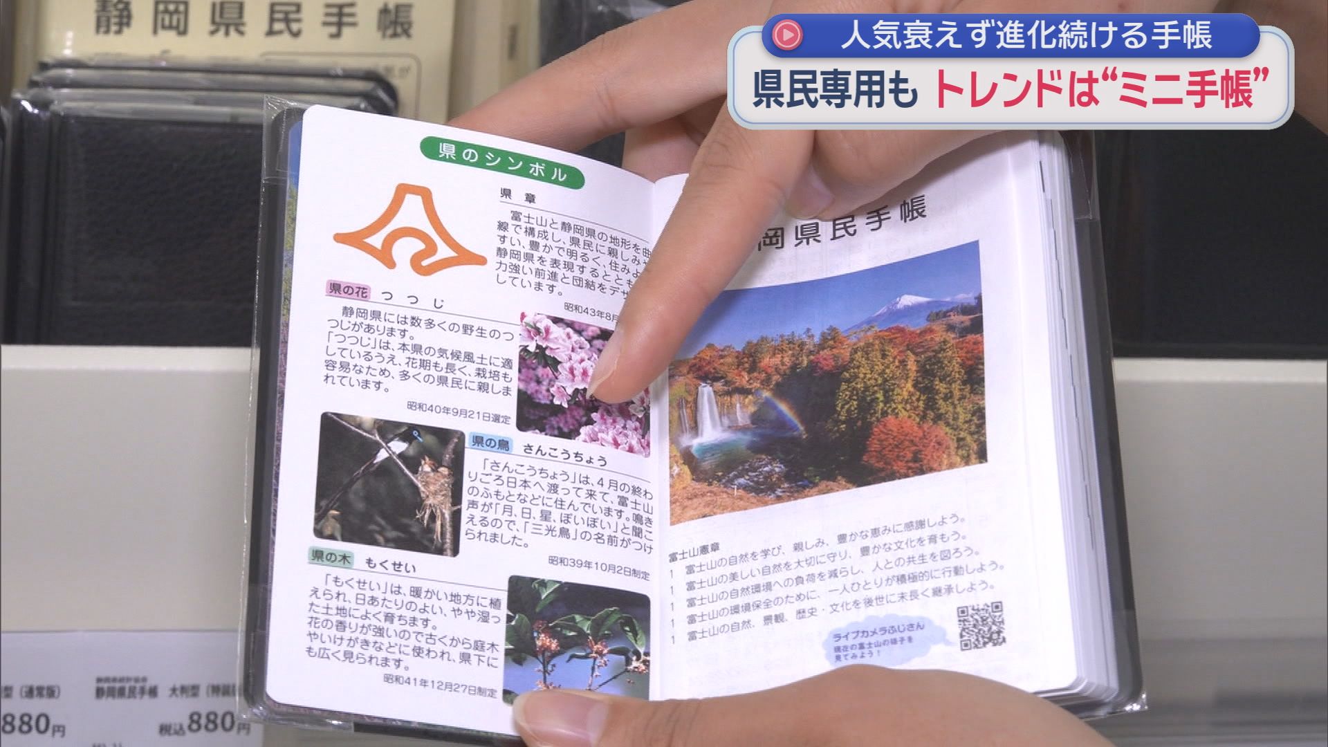 今年のトレンドは手のひらサイズの「ミニ手帳」　なのに書き込みスペースはたっぷり