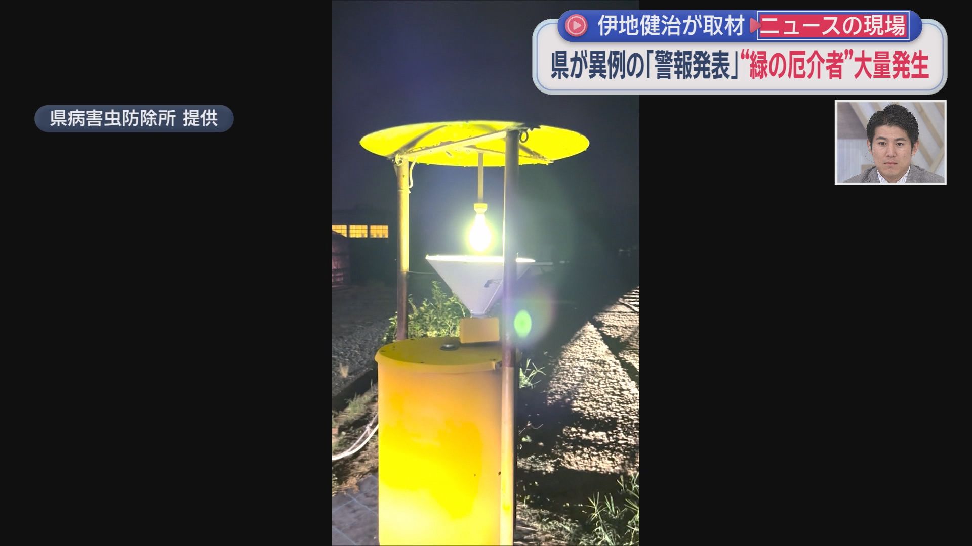カメムシを採集するトラップ