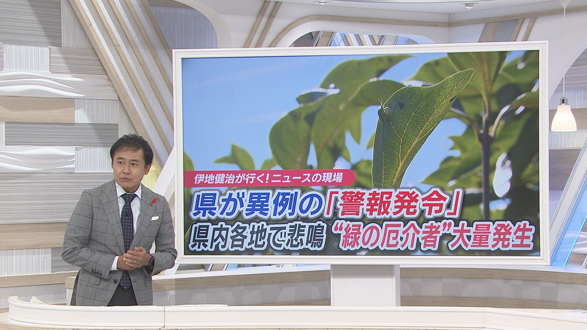 「来ないで！」住宅や店に大量飛来…平年20倍超のカメムシ大発生　28年ぶり警報で秋の味覚にも危機　静岡