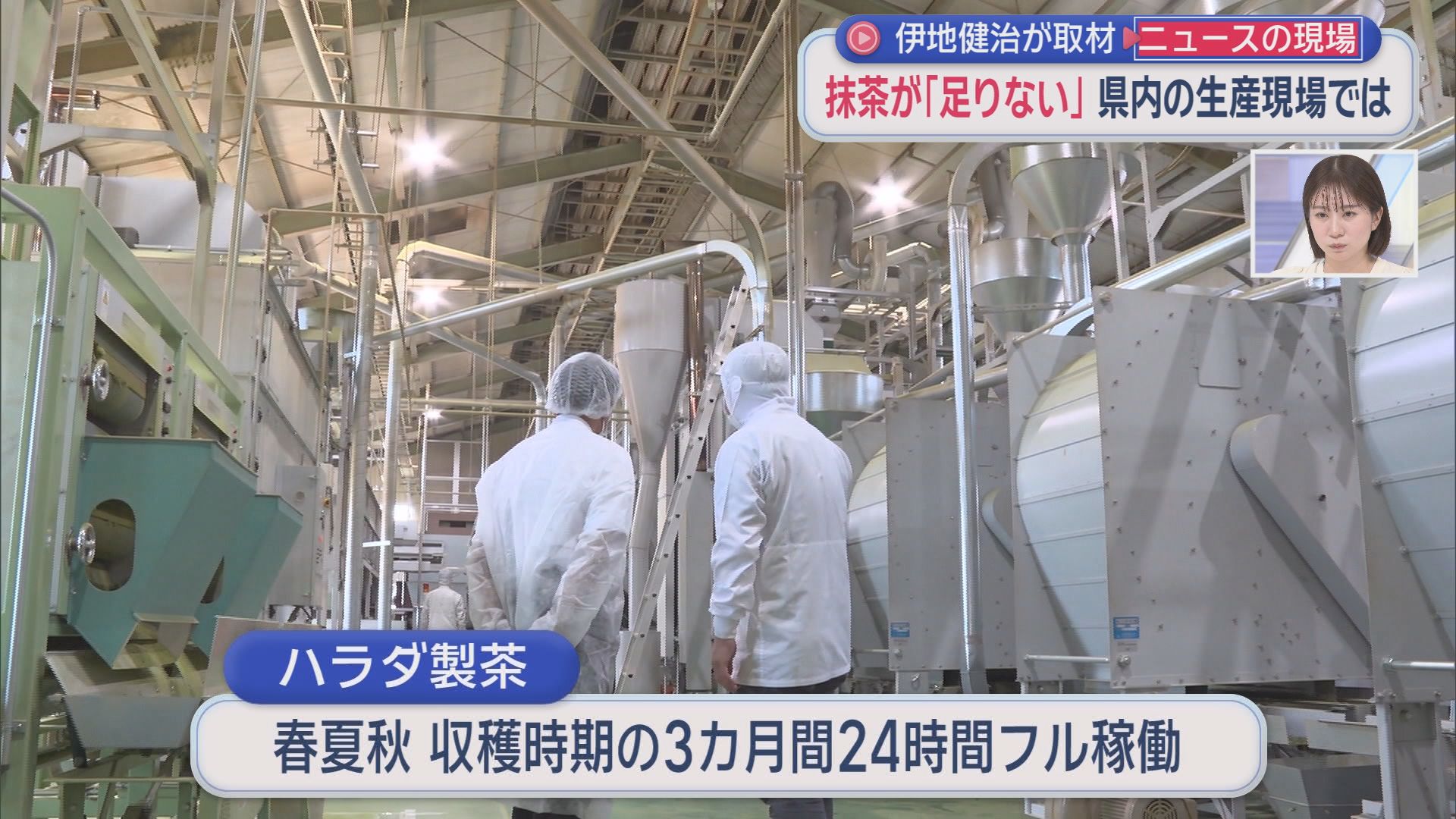 なぜ消えた？「スーパーカップ抹茶味」終売の衝撃　「日本中の茶葉を抹茶にしても足りない」世界的ブームの裏側　静岡