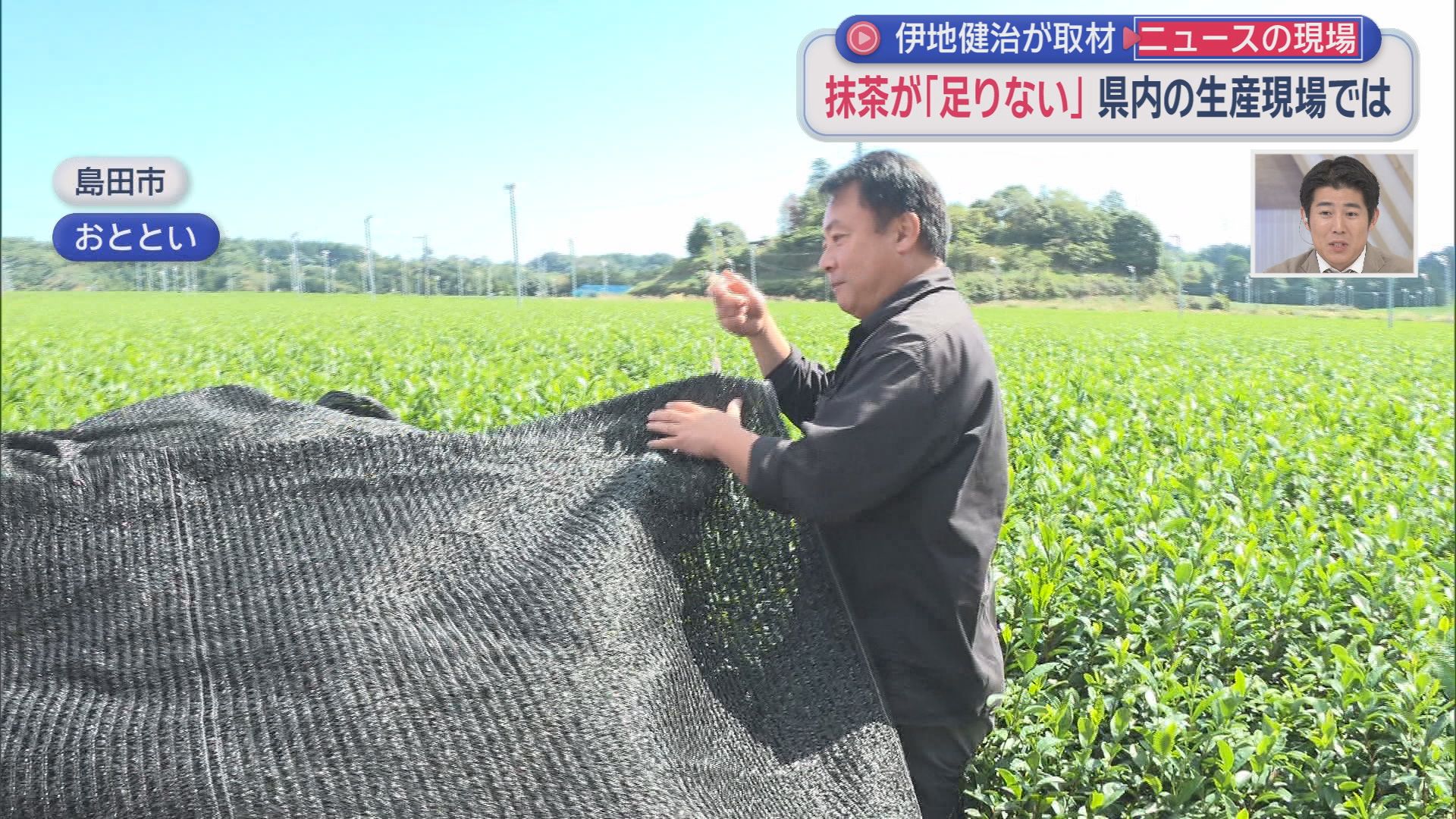 なぜ消えた？「スーパーカップ抹茶味」終売の衝撃　「日本中の茶葉を抹茶にしても足りない」世界的ブームの裏側　静岡