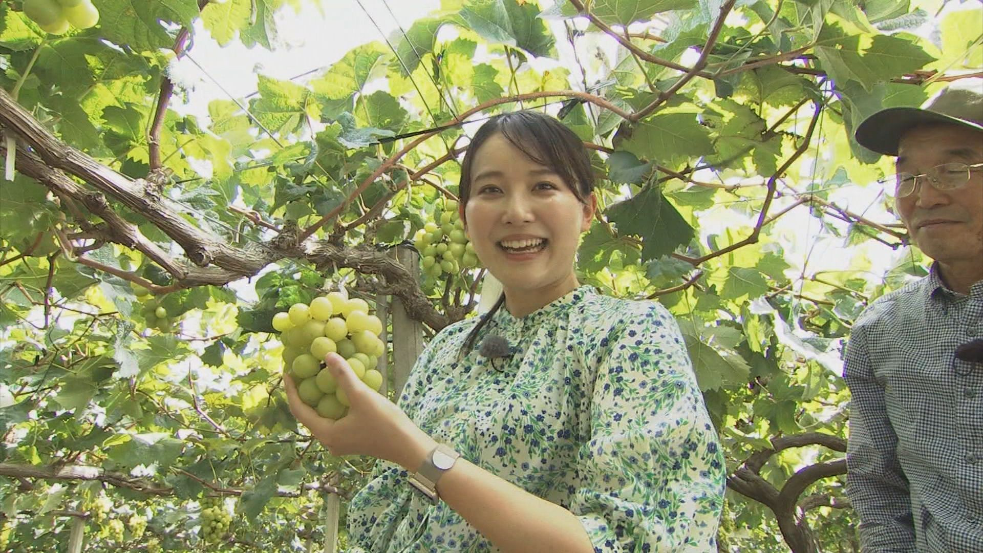 「甘すぎる…！」収穫したてのシャインマスカットに感動　静岡で旬真っ盛り 豪華パフェも登場…映え確実のパフェ＆タルト