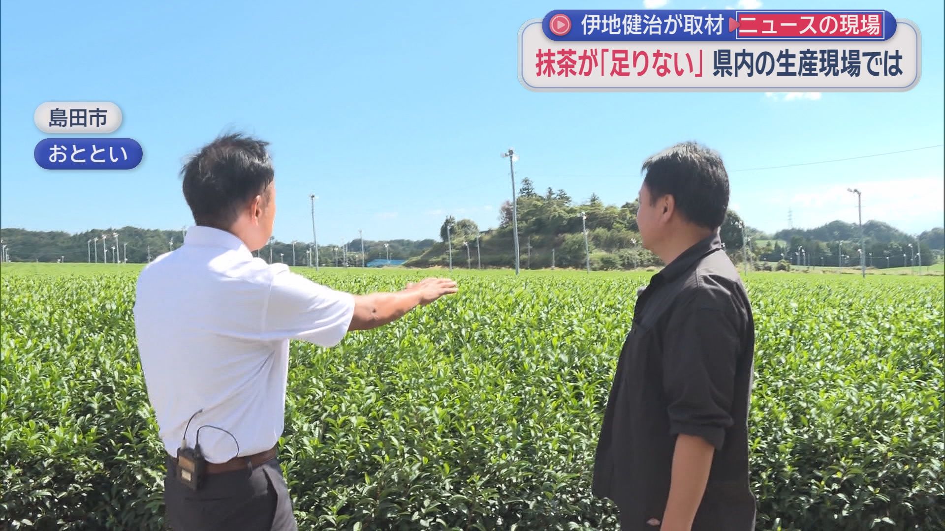 なぜ消えた？「スーパーカップ抹茶味」終売の衝撃　「日本中の茶葉を抹茶にしても足りない」世界的ブームの裏側　静岡
