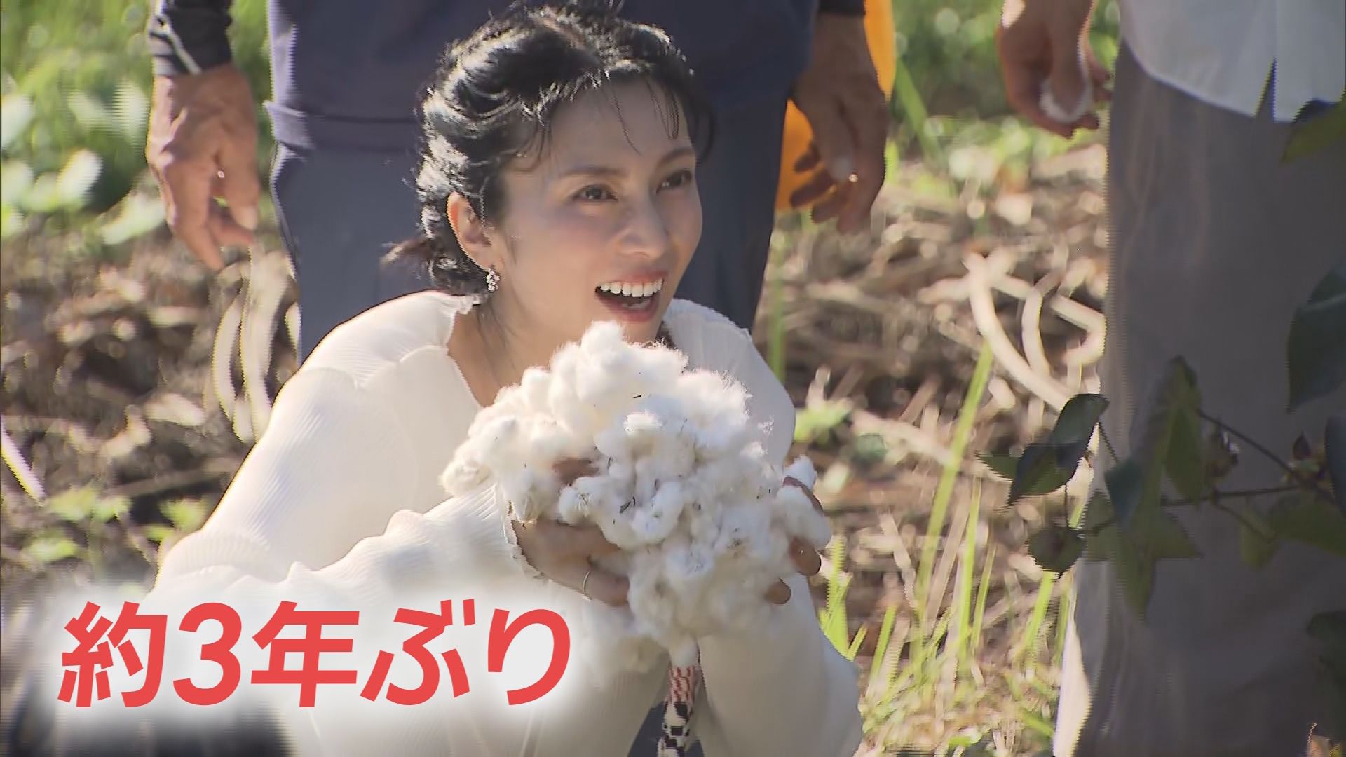 「やっぱり忘れられない」柴咲コウさん　直虎ゆかりの浜松を再訪　綿花の収穫にも挑戦　大河ドラマから10年続く特別な縁