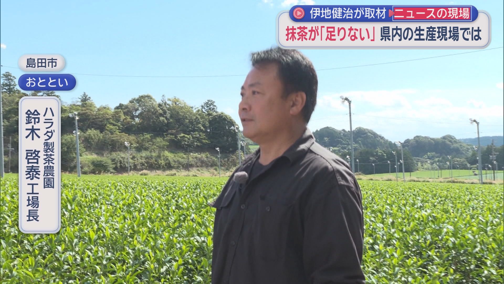 ハラダ製茶農園工場長　鈴木啓泰さん