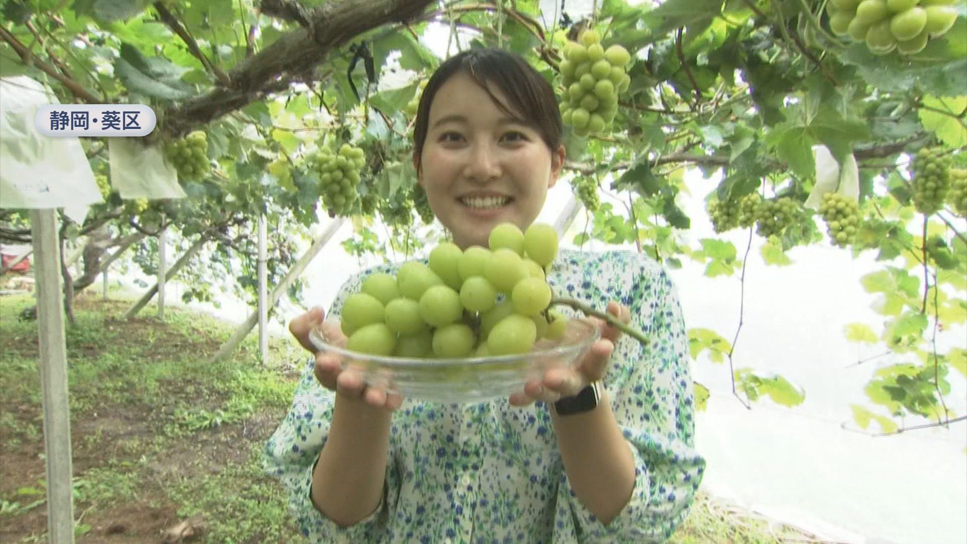 堀優奈アナウンサー