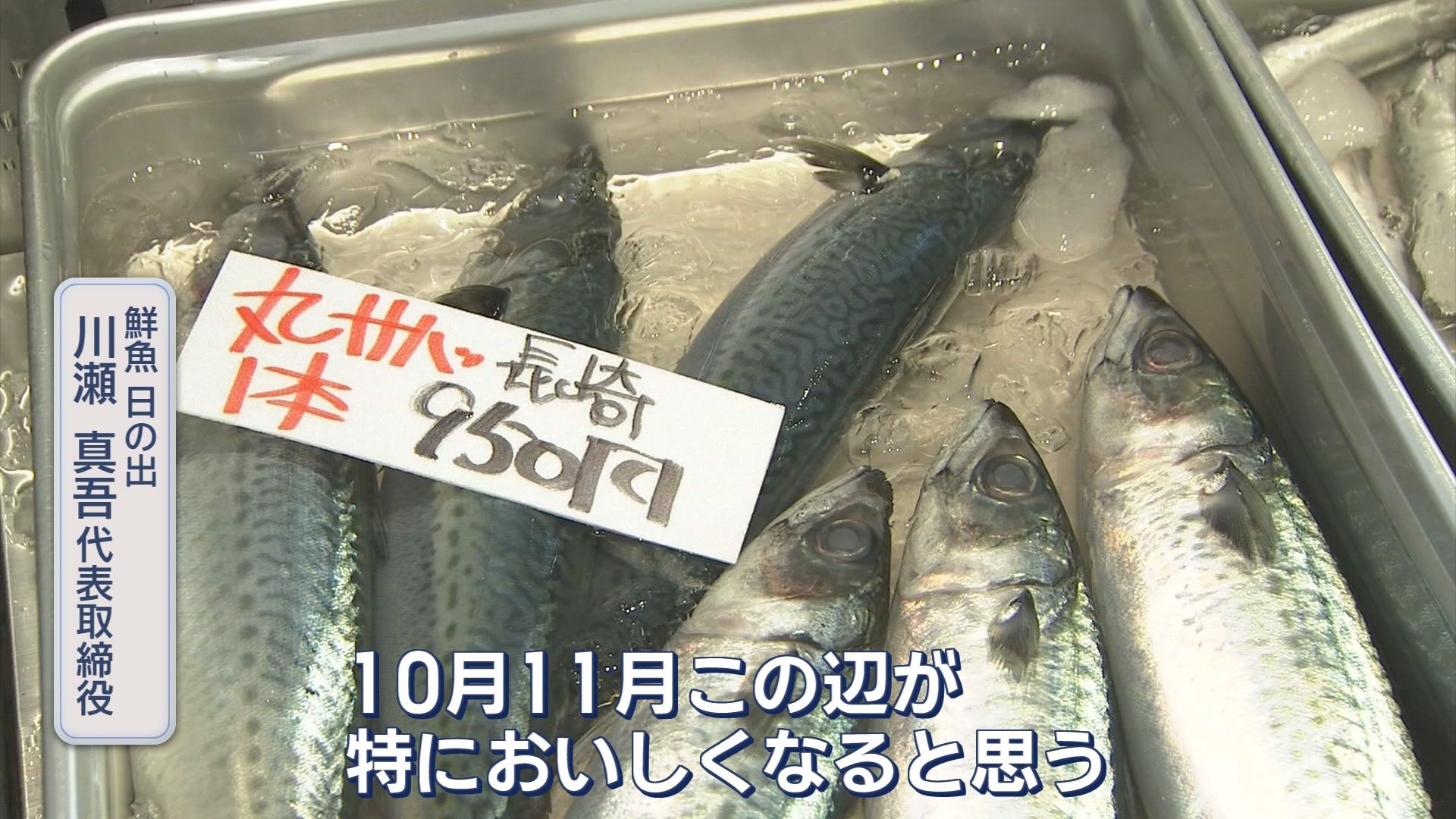 「舌の上でとろける…」今が旬の秋サバ到来　脂ノリ最高潮！週末限定鯖寿司に“生食感”新定食も